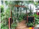 40 Hamilton Street, North Mackay QLD 4740