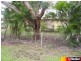 1105 Mackay-Habana Road, Habana QLD 4740