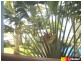 224/6 Beach Road, Dolphin Heads QLD 4740