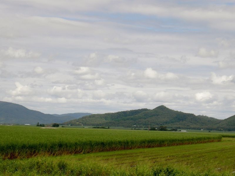 404 Homebush Road (Lot 5 Maus Rd), Homebush QLD 4740