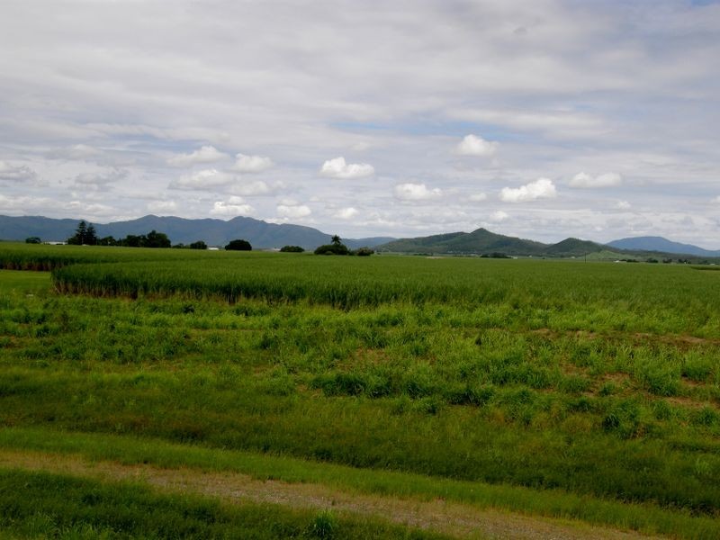 404 Homebush Road (Lot 5 Maus Rd), Homebush QLD 4740