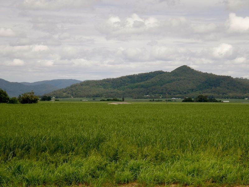 404 Homebush Road (Lot 5 Maus Rd), Homebush QLD 4740