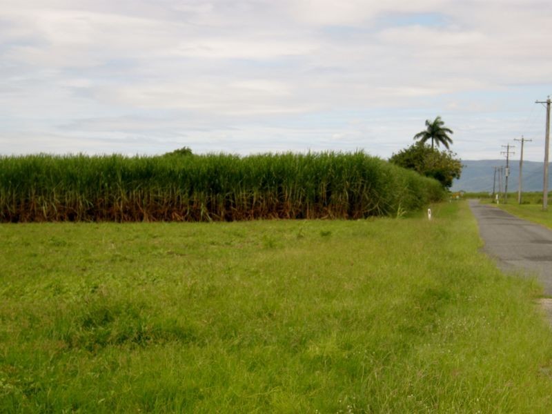 404 Homebush Road (Lot 5 Maus Rd), Homebush QLD 4740