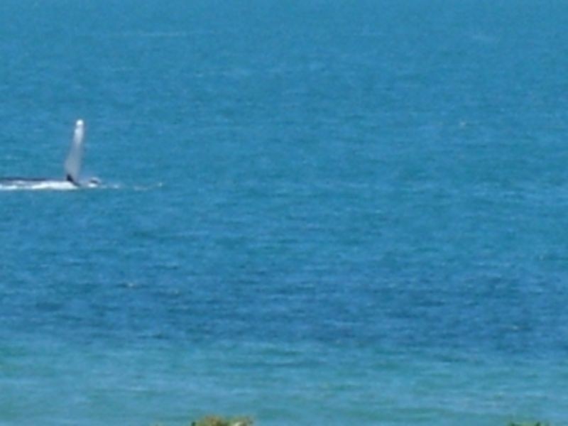 Lot 4 Dune – Owen Jenkins Drive, Sarina Beach QLD 4737