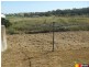 13 Miers Road, Seaforth QLD 4741
