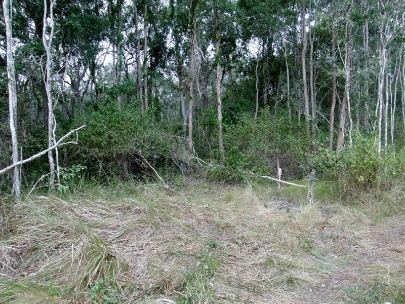 Lot 1 Gutschlag Road, Sarina QLD 4737
