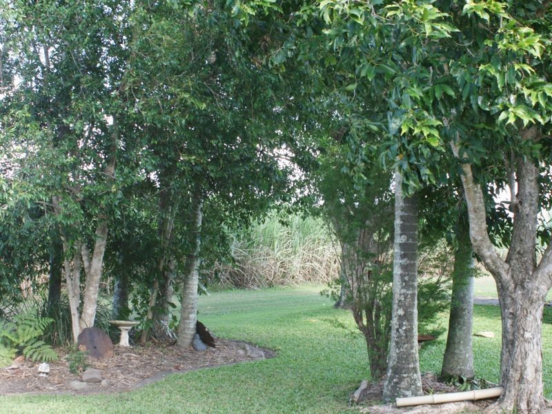 183 Te Kowai Foulden Road, Alligator Creek QLD 4740