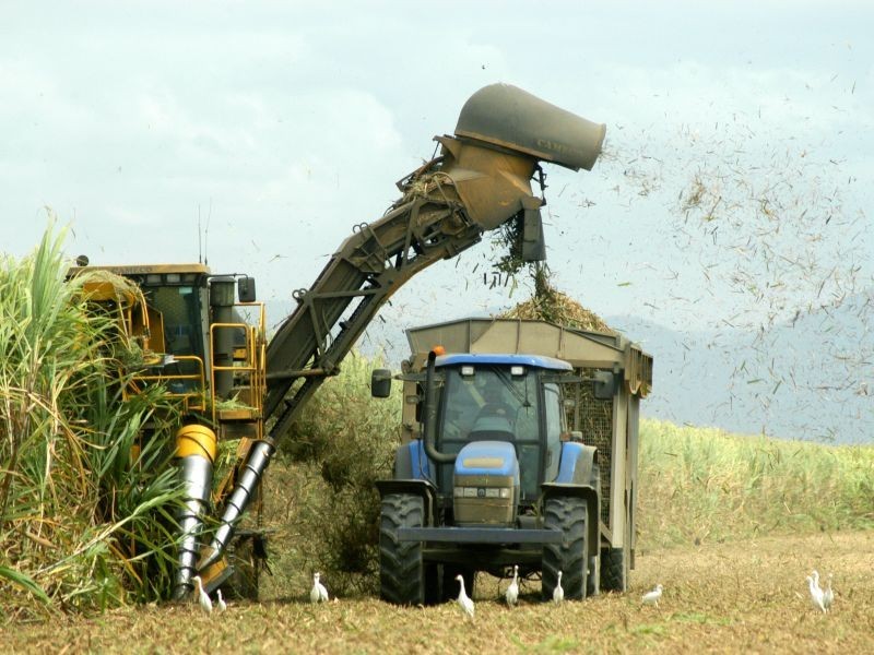 116 Sugarshed Road, Alligator Creek QLD 4740