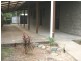 1 Samuel Court, Andergrove QLD 4740