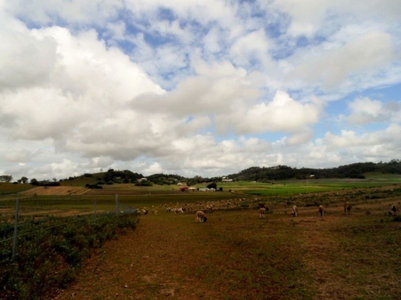 302 Barrow Hill Road, Habana QLD 4740