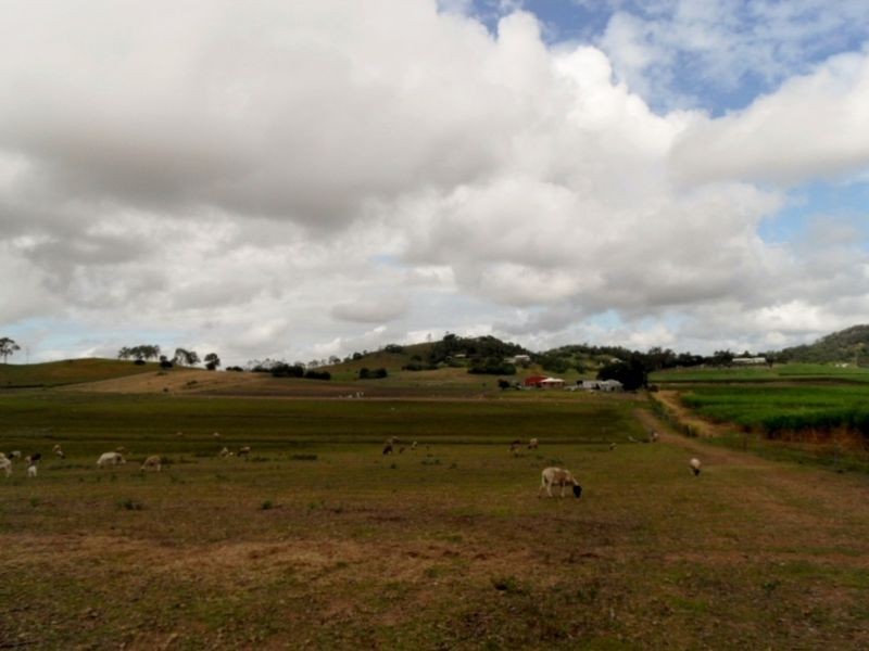 302 Barrow Hill Road, Habana QLD 4740