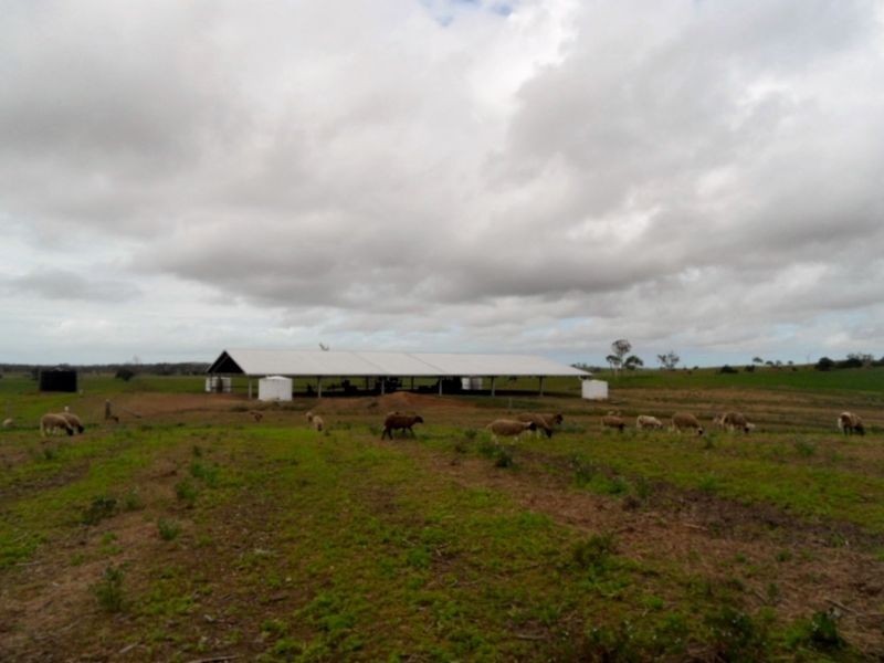 302 Barrow Hill Road, Habana QLD 4740