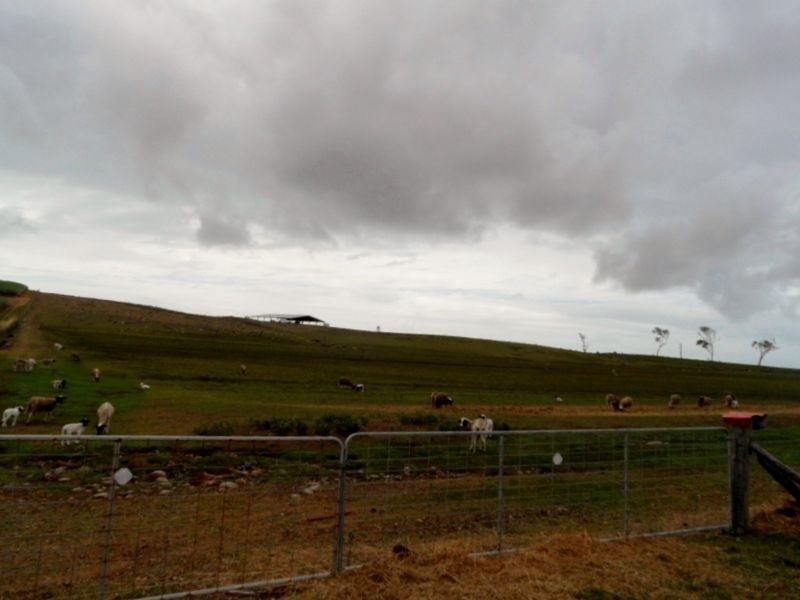 302 Barrow Hill Road, Habana QLD 4740