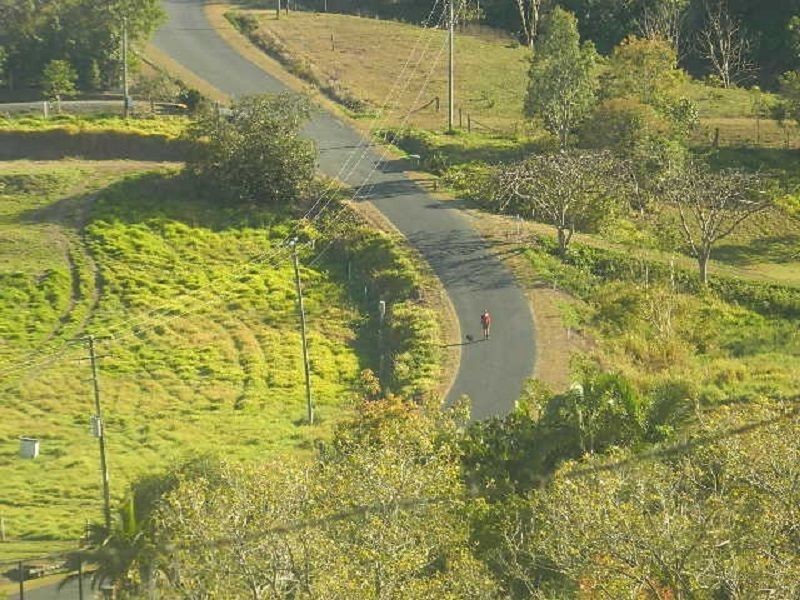 165 Gardiners Road, Habana QLD 4740