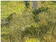 165 Gardiners Road, Habana QLD 4740