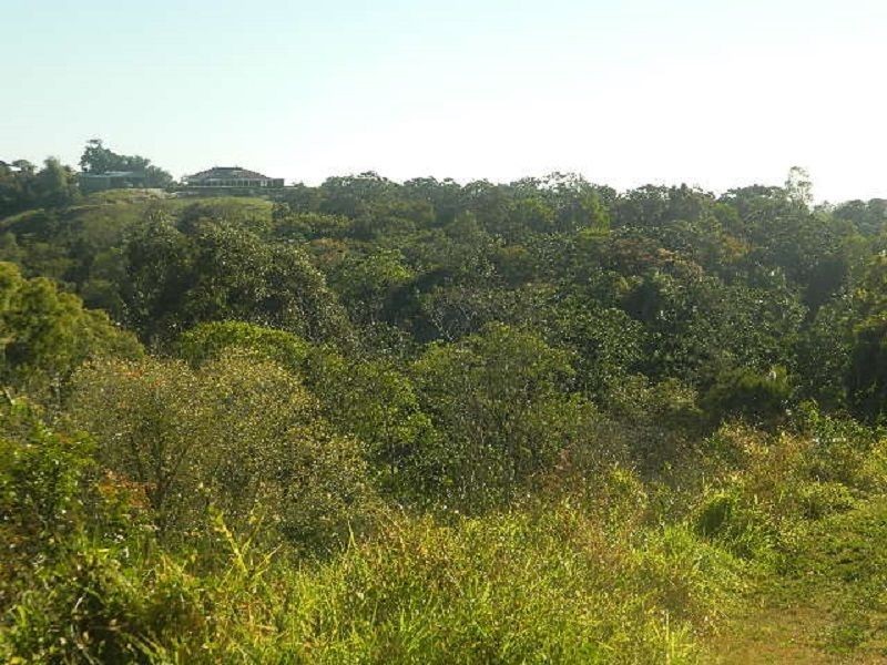 165 Gardiners Road, Habana QLD 4740