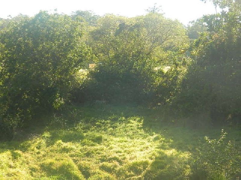 165 Gardiners Road, Habana QLD 4740