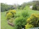 35 Ollets Road, Habana QLD 4740