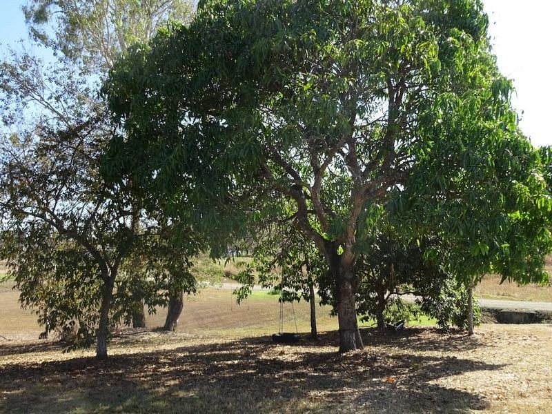 18 Prospect Street, Eton QLD 4741