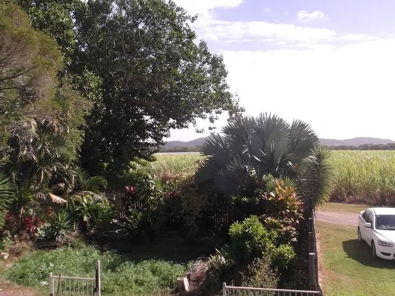 116 Masottis Road, Homebush QLD 4740