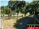 19 Volute Street, Shoal Point QLD 4750