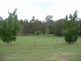 Lot 904 George Street, Maryborough QLD 4650