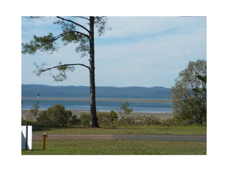 Tiona NSW 2428