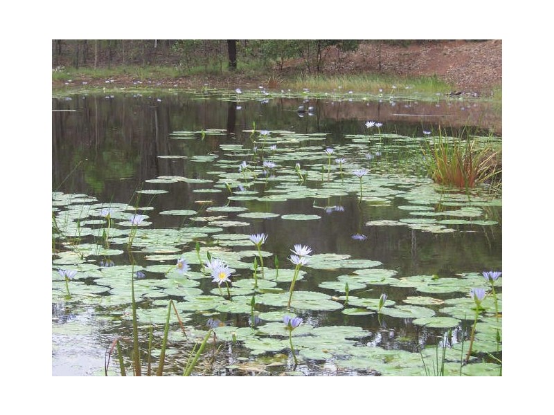 157 Teddington Road, Tinana, Maryborough QLD 4650