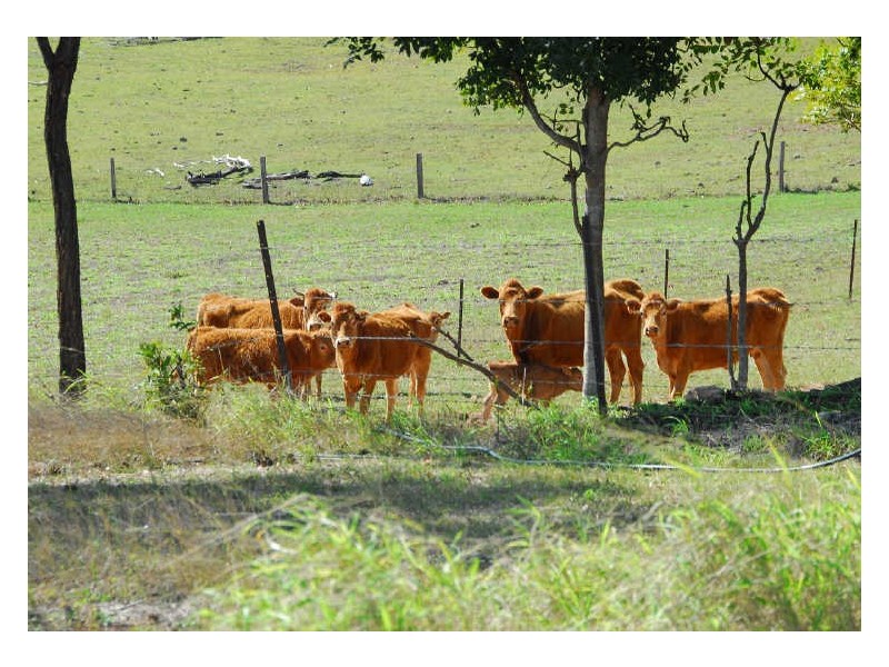 Maryborough QLD 4650