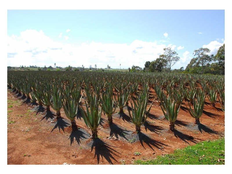 Maryborough QLD 4650