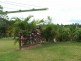 Tiaro QLD 4650
