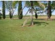 616 River Road, Tinana QLD 4650