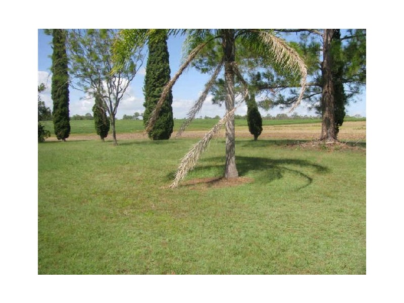 616 River Road, Tinana QLD 4650