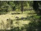 Mungar QLD 4650