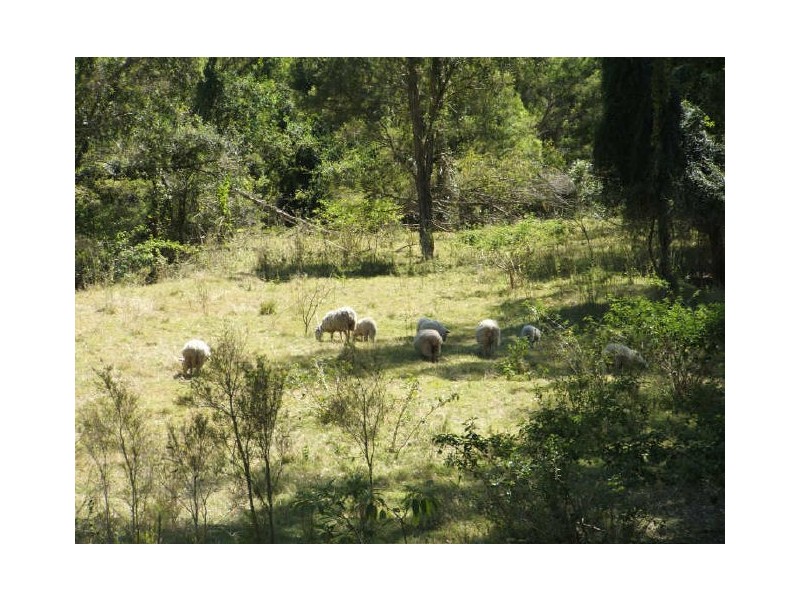 Mungar QLD 4650
