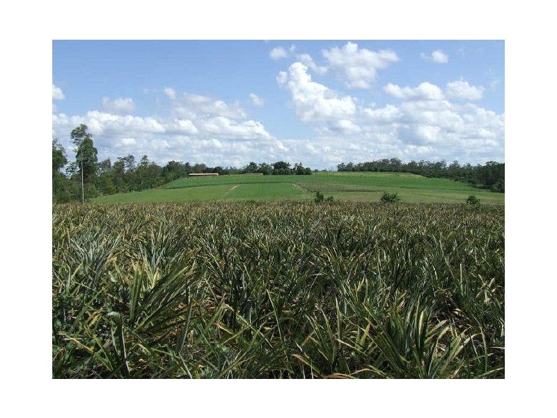 Yengarie QLD 4650
