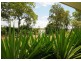 379 Beaver Rock Road, Beaver Rock, Maryborough QLD 4650