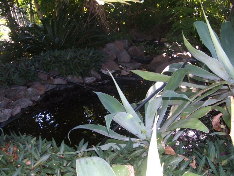 Maryborough QLD 4650