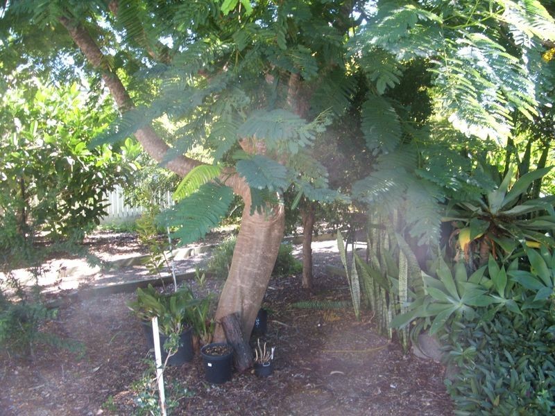 Maryborough QLD 4650
