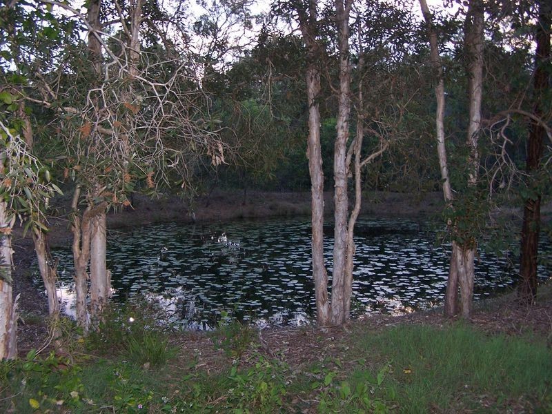 162 Mungar Road, Mungar QLD 4650