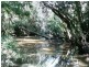 Lot 47 Grohn Road, Mungar QLD 4650