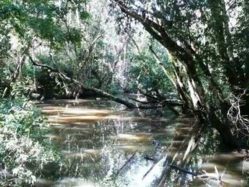 Lot 47 Grohn Road, Mungar QLD 4650