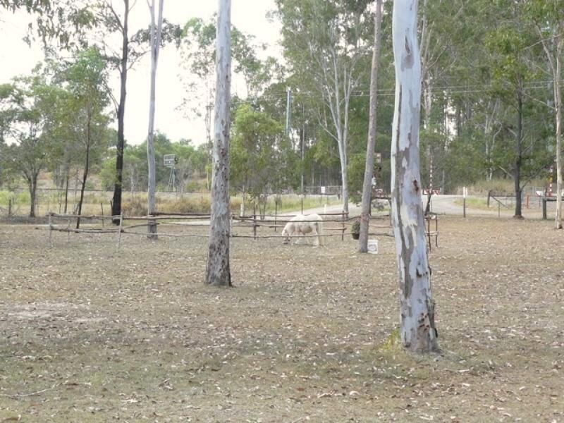 161 Owanyilla Road, Tiaro QLD 4650