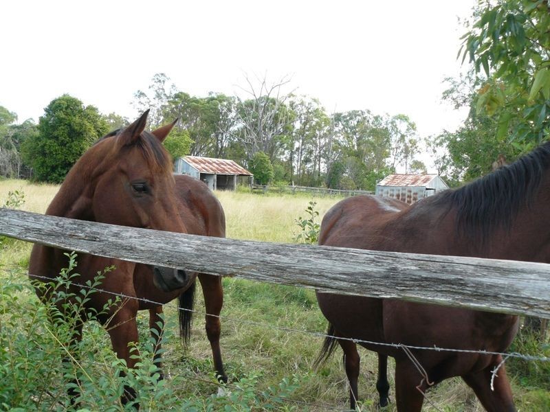 Mungar QLD 4650