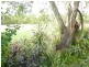 Mungar QLD 4650