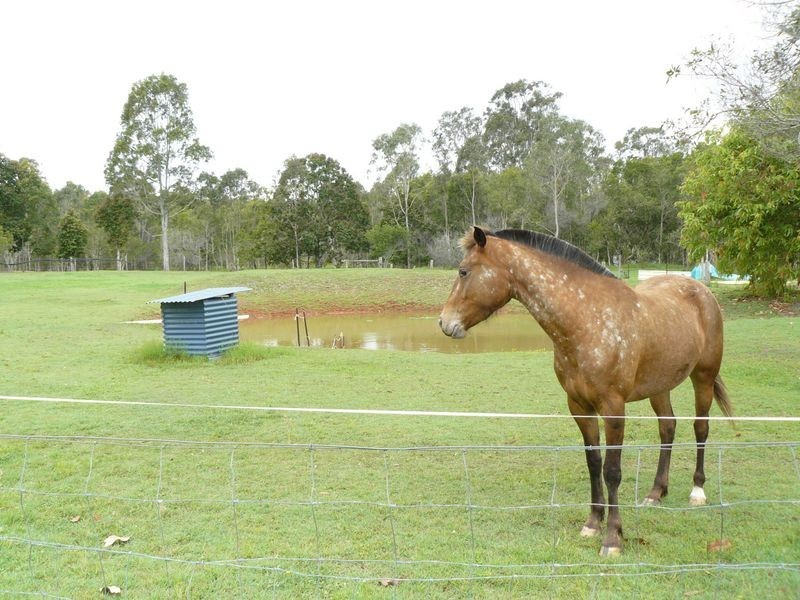 Maryborough QLD 4650