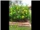 47 Madison Way, Tinana QLD 4650
