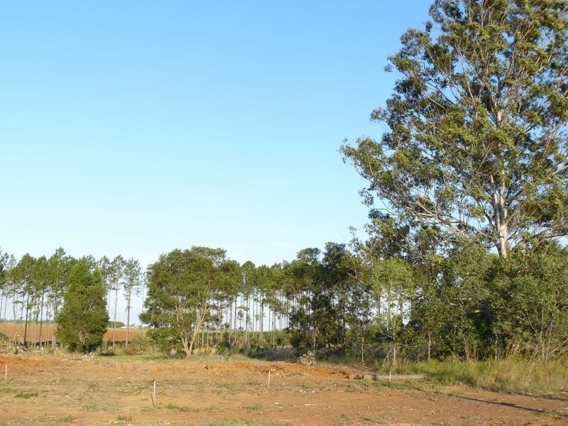 Tinana Views Estate, Tinana QLD 4650