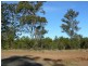 Tinana Views Estate, Tinana QLD 4650