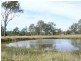 33/ River Road, Tinana QLD 4650